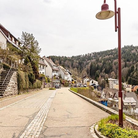 Ferienappartement Sonnenhof Триберг Экстерьер фото